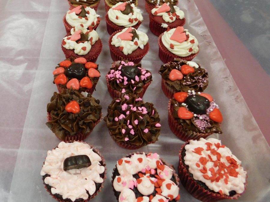Valentine+themed+cupcakes+are+lined+up+and+ready+to+get+a+bite+taken+out+of+them+by+the+judges.+