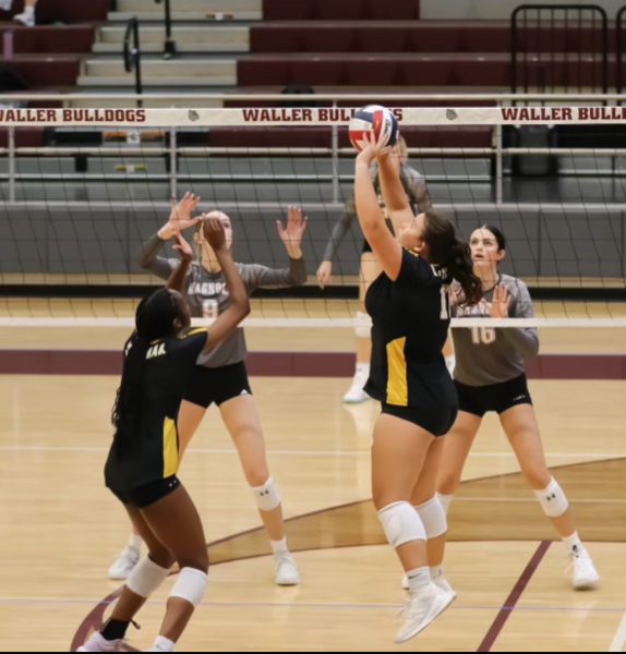 
Lily Singletary and Alana Trotman set up a score against Magnolia in the Waller Tournament Aug. 24. The Panthers beat the Bulldogs in two 25-13, 26-24.
